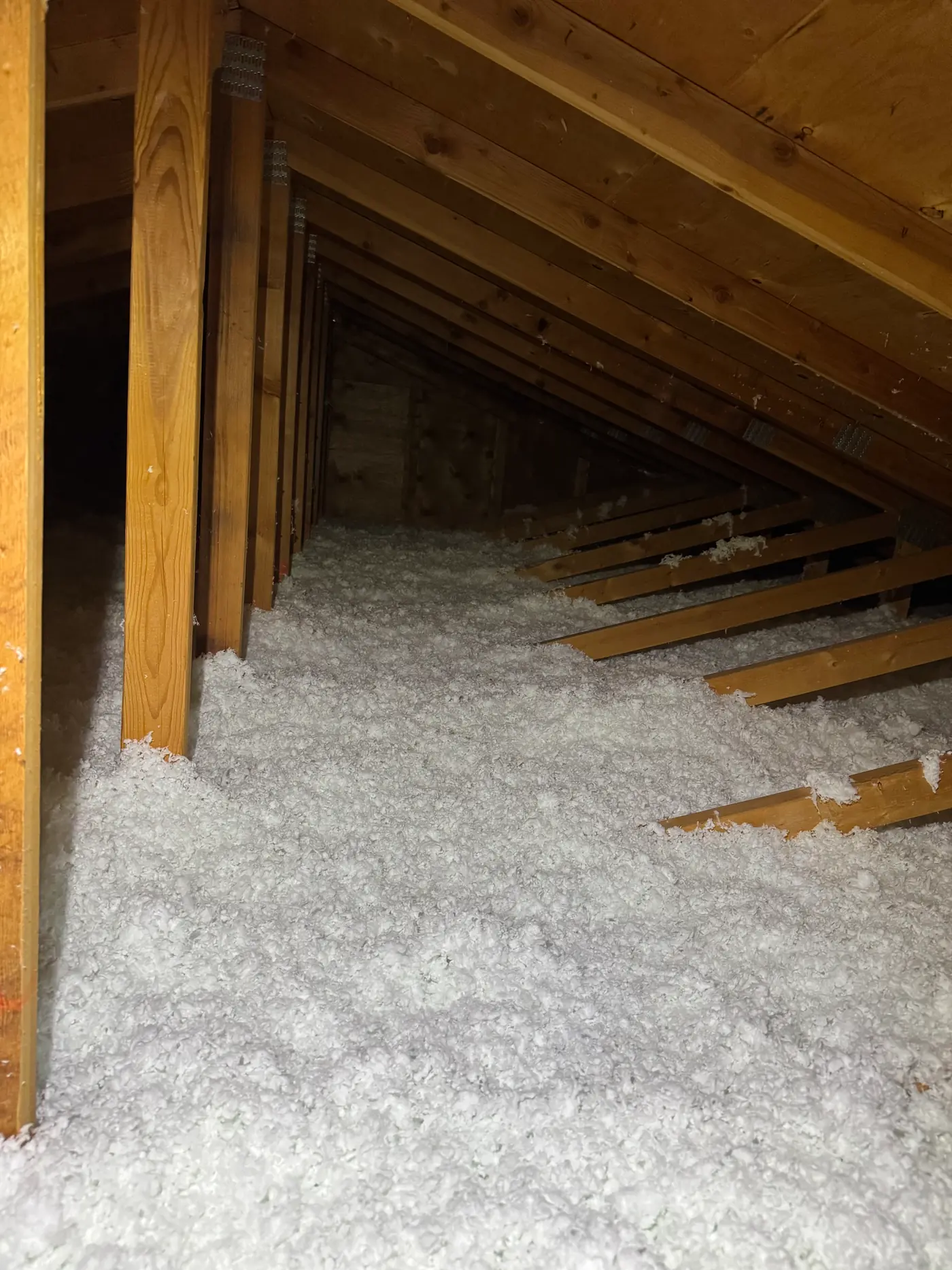 Residential attic after an EcoSeal top-up, deep blown-in insulation covering the floor between exposed roof trusses.